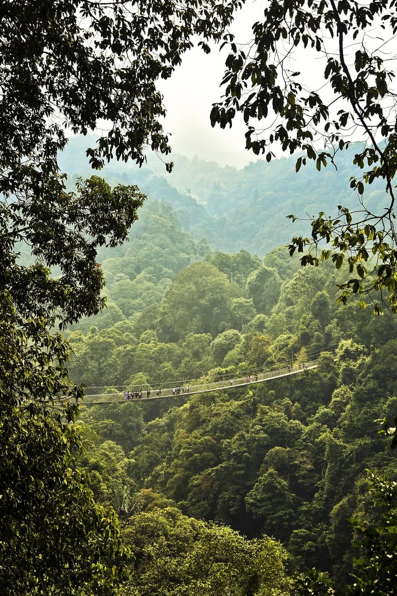 Waterfall Jungle Trekking